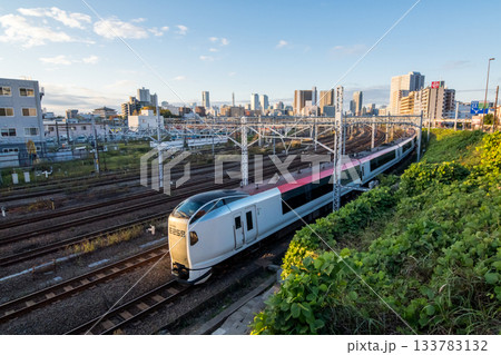 【横須賀線】早朝の東京方面へ向かう特急列車 【横須賀線】早朝の東京方面へ向かう特急列車 133783132