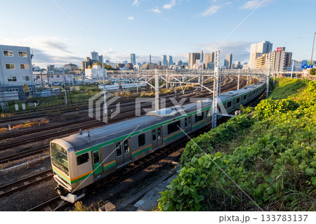 【湘南新宿ライン】早朝の東京方面へ向かう列車 133783137