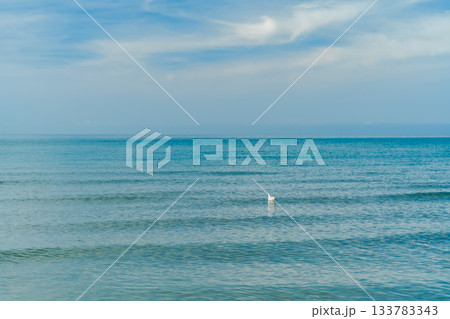A seagull rests on the calm waves of the sea, a bright warm autumn day and relaxation on the beach on a fall weekend 133783343