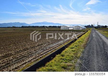 秋の田園風景 山形県庄内 133783354