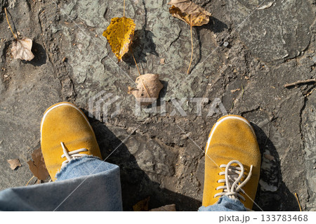 Falling leaves adorn the ground as I stand on a serene path, golden shoes contrasting with the earthy tones of the forest. Family bonding time unfolds amid nature's splendid backdrop. 133783468