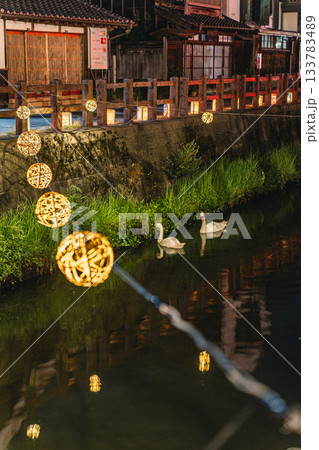 小野川沿いの夕涼み竹毬灯りと佐原の町並みと白鳥 133783489