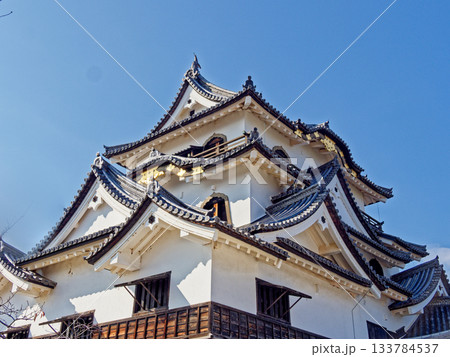 国宝彦根城天守閣 133784537