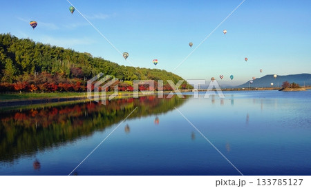 バルーンフェスタ東近江3 133785127