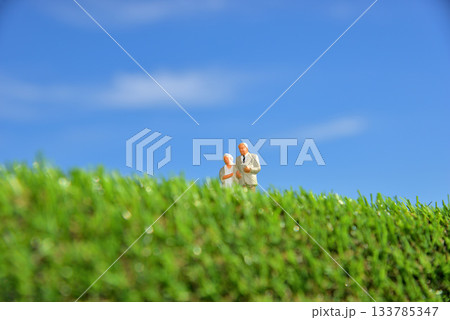 仲良く寄り添いながら歩くシニアイメージ 133785347