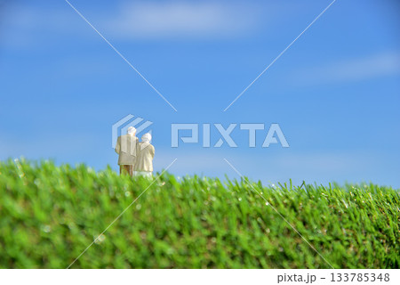 仲良く寄り添いながら歩くシニアイメージ 133785348