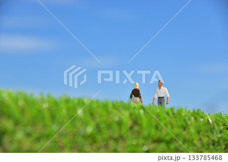 健康管理の為ウオーキングをする人々イメージ 健康管理の為ウオーキングをする人々イメージ 133785468