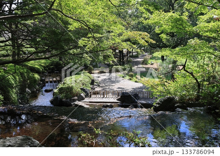埼玉県上尾市の丸山公園の風景 133786094