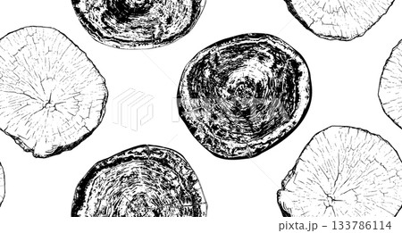 Wood cross section 133786114