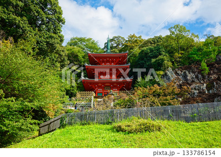 岐阜公園三重塔とロープウェイ 金華山 岐阜公園三重塔とロープウェイ 金華山 133786154
