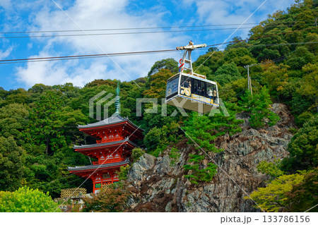 岐阜公園三重塔とロープウェイ　金華山 133786156