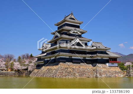 春の彩り　国宝 松本城 133786190