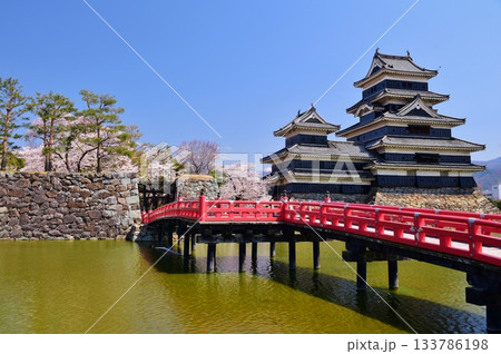 春の彩り　国宝 松本城 133786198