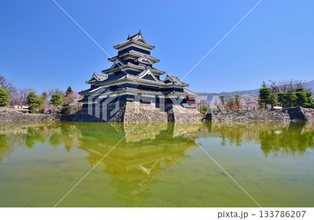 春の彩り　国宝 松本城 133786207