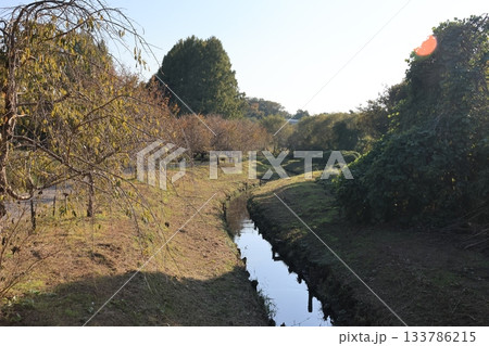 埼玉県上尾市の丸山公園の風景 埼玉県上尾市の丸山公園の風景 133786215