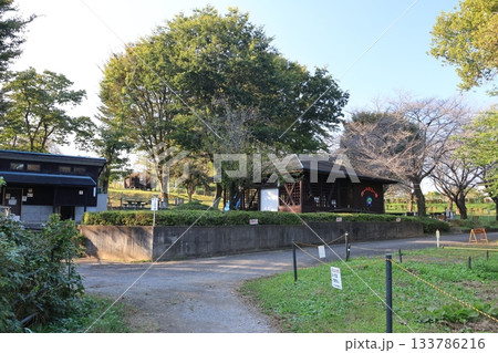 埼玉県上尾市の丸山公園のバーベキュー場の風景 133786216