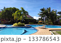 南国のリゾートホテルのプール 133786543