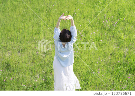 野原で伸びをする女性　俯瞰撮影　後ろ姿 133786671