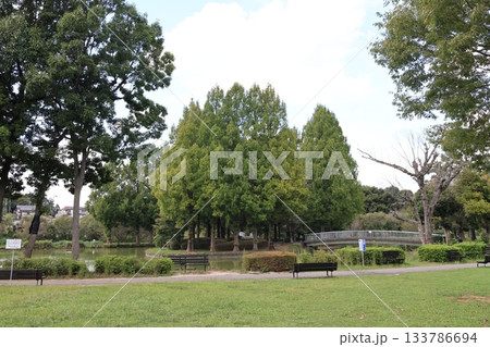 埼玉県上尾市の丸山公園の風景 埼玉県上尾市の丸山公園の風景 133786694