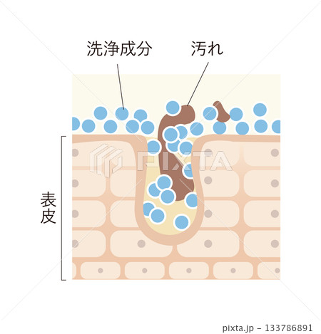 毛穴の汚れを落とす 133786891
