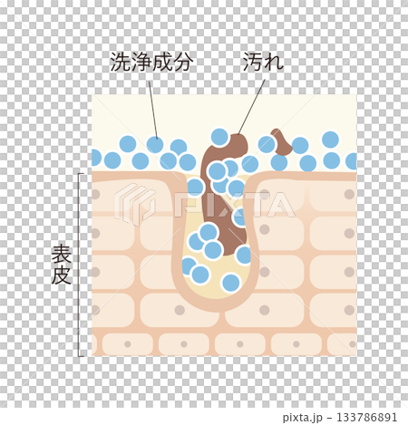 毛穴の汚れを落とす 133786891