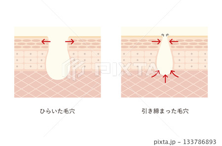 毛穴の開きと引き締め 133786893