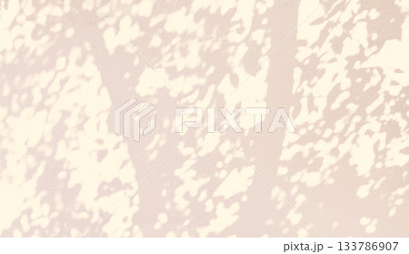 植物　影　光　日差し 133786907