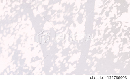 植物　影　光　日差し 133786908