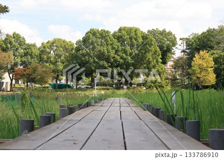 埼玉県上尾市の丸山公園の風景 133786910