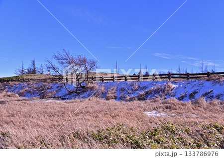 晩秋の美ヶ原高原の草原と残る初雪 晩秋の美ヶ原高原の草原と残る初雪 133786976
