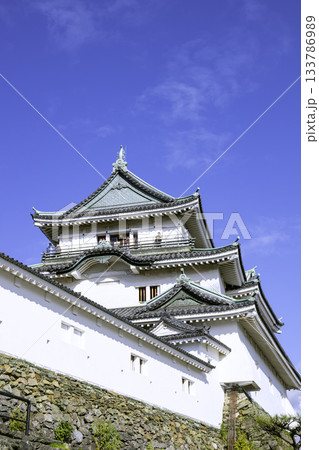 和歌山城天守閣(和歌山県和歌山市) 和歌山城天守閣(和歌山県和歌山市) 133786989