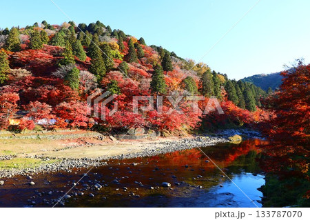 香嵐渓の色鮮やかな秋の風景 香嵐渓の色鮮やかな秋の風景 133787070