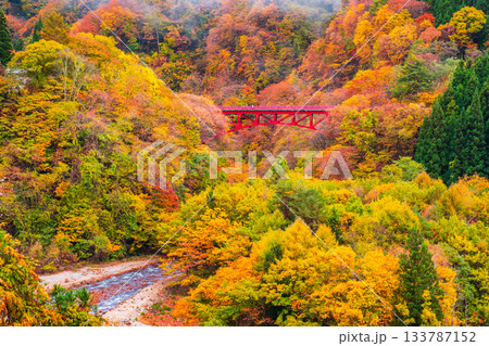 松川渓谷(秋) 高山村 松川渓谷(秋) 高山村 133787152