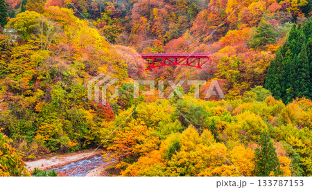 松川渓谷(秋) 高山村 松川渓谷(秋) 高山村 133787153