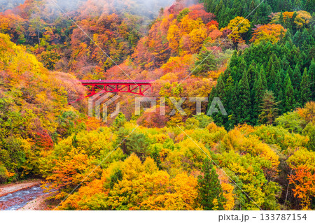 松川渓谷(秋) 高山村 松川渓谷(秋) 高山村 133787154