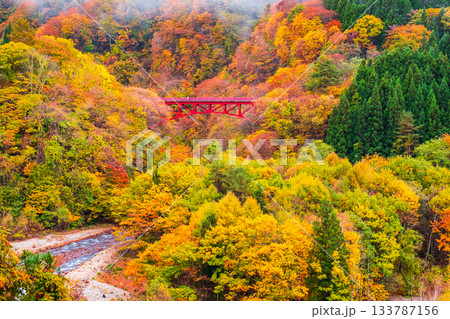 松川渓谷(秋) 高山村 松川渓谷(秋) 高山村 133787156
