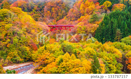 松川渓谷（秋）　高山村 133787157