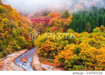 松川渓谷(秋) 高山村 松川渓谷(秋) 高山村 133787158