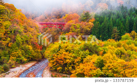 松川渓谷(秋) 高山村 松川渓谷(秋) 高山村 133787159