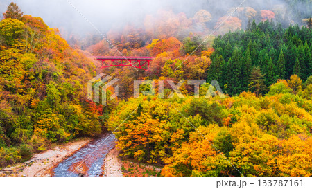 松川渓谷(秋) 高山村 松川渓谷(秋) 高山村 133787161