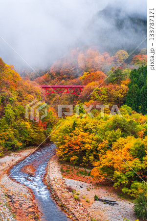松川渓谷(秋) 高山村 松川渓谷(秋) 高山村 133787171