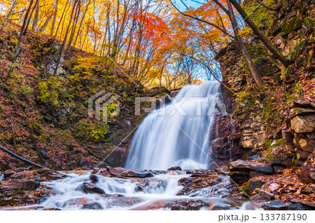 浅間大滝（秋） 133787190