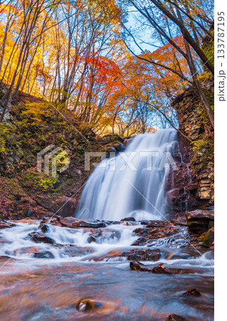 浅間大滝（秋） 133787195