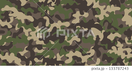 迷彩パターン-シームレス　背景素材 133787243