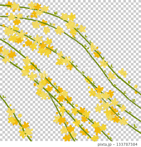 胡梅（歐拜） 133787384