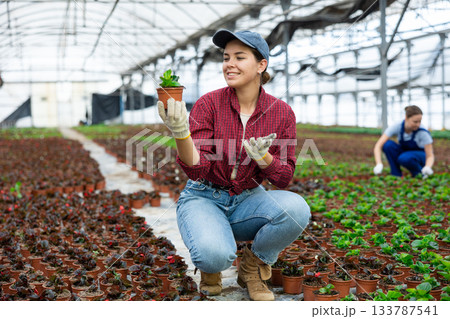 Young woman chief agronomist of wholesale base of ornamental plants inspects begonia 133787541
