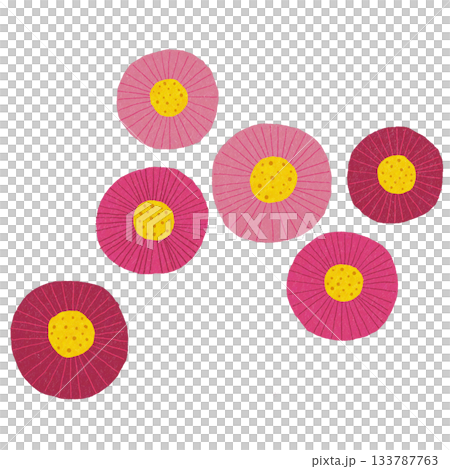 Cute Daisy Cute Daisy 133787763