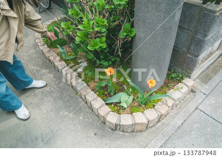 various various 133787948