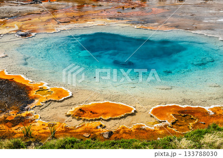Colorful Silex Spring bubbles with hot blue water in Yellowstone National Park Wyoming. Geothermal feature displays vibrant orange bacterial mats contrasting with deep turquoise pool on sunny day Colorful Silex Spring bubbles with hot blue water in Yellowstone National Park Wyoming. Geothermal feature displays vibrant orange bacterial mats contrasting with deep turquoise pool on sunny day 133788030