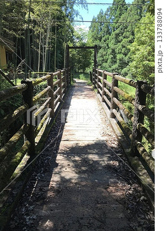 新緑に包まれた熊野古道の道 133788094